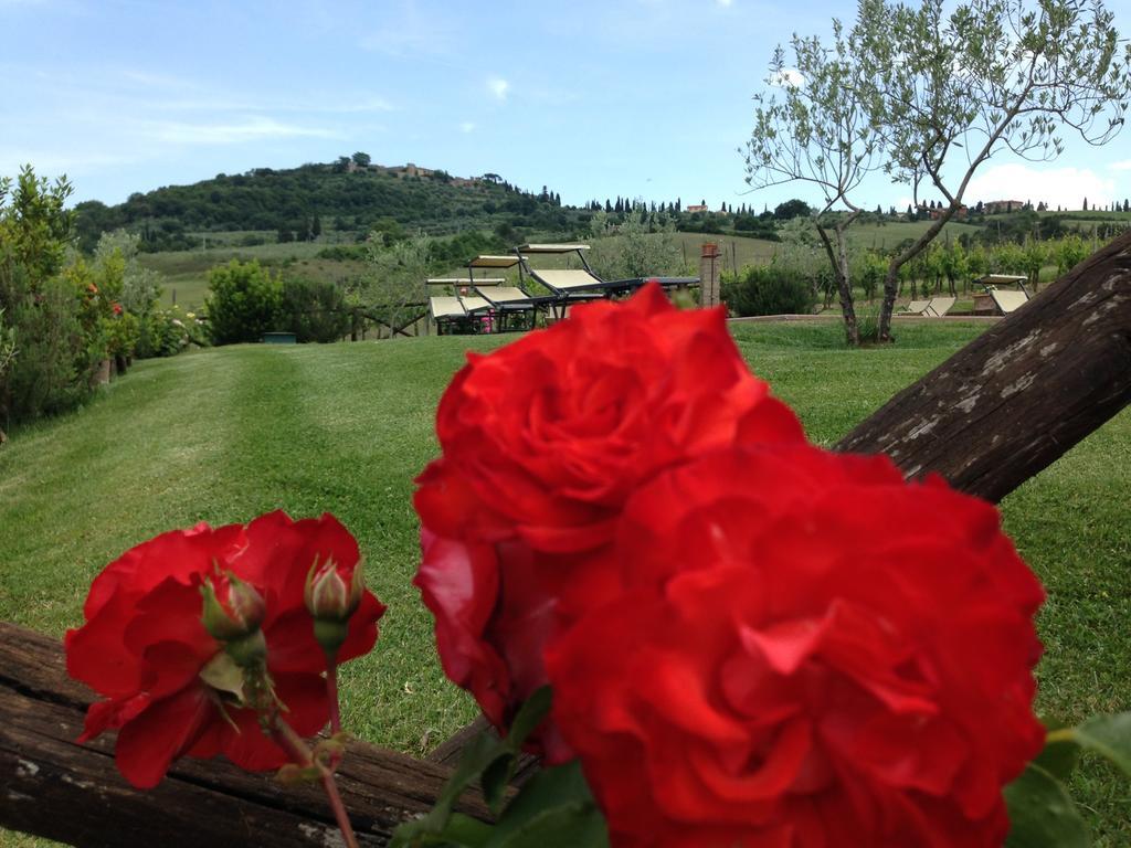 Agriturismo Santa Maria Pienza Zewnętrze zdjęcie