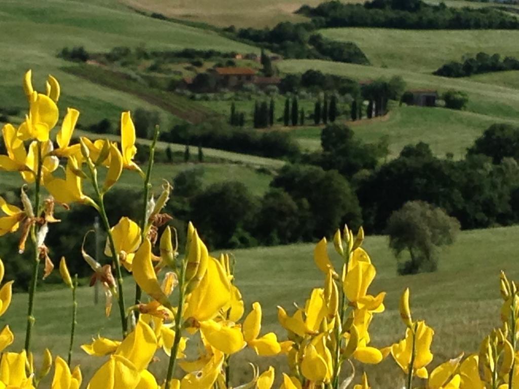 Agriturismo Santa Maria Pienza Zewnętrze zdjęcie