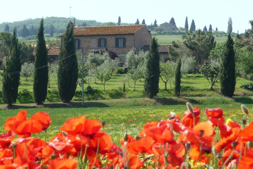 Agriturismo Santa Maria Pienza Zewnętrze zdjęcie