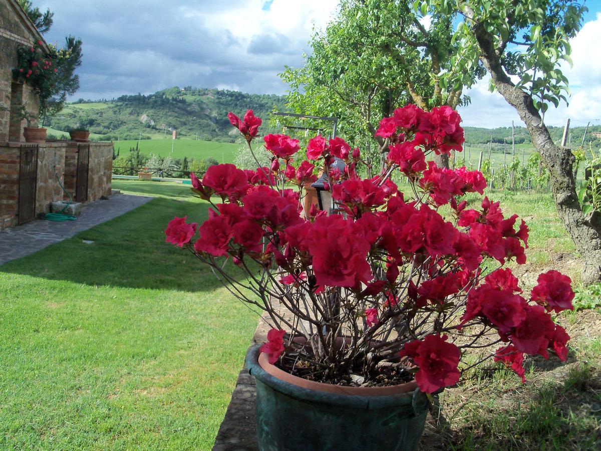 Agriturismo Santa Maria Pienza Zewnętrze zdjęcie